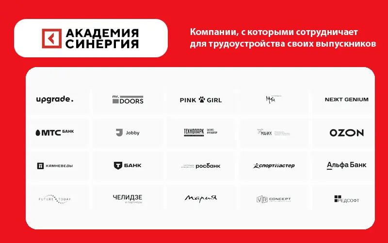 Карьера после курсов Synergy academy 