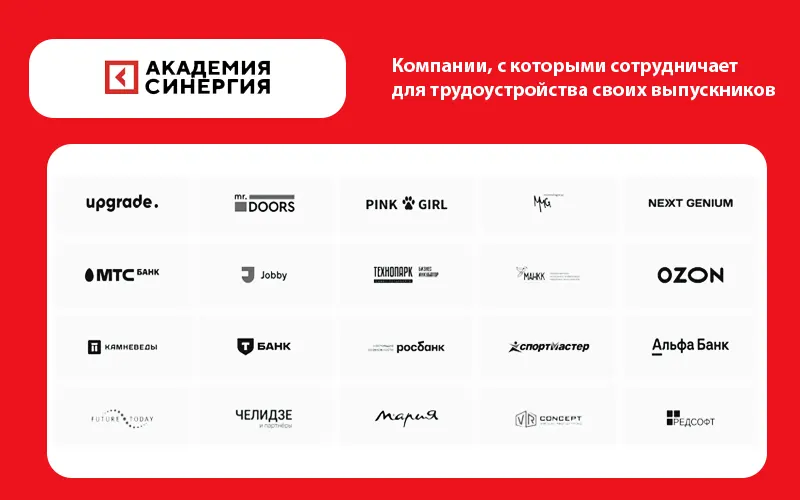 Synergy academy трудоустройство